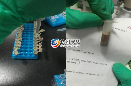 <a href=http://www.51kaba.com/prouduct/lengdong/ target=_blank class=infotextkey>冷凍研磨儀</a>